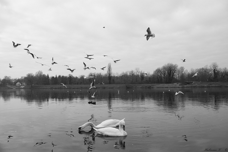 la foule