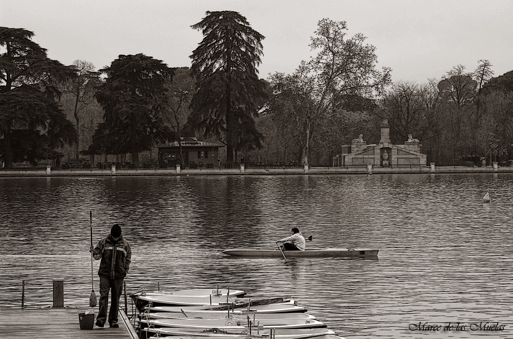 ...la fregona...