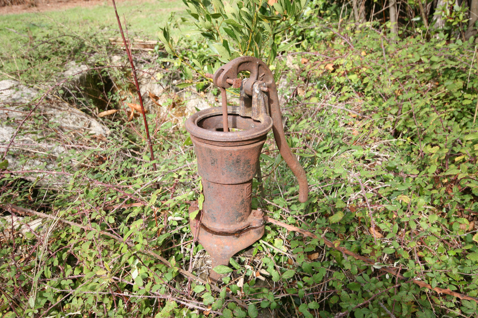 la fuente de la vida