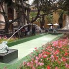 la fuente de las ranas