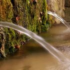 La fuente de los mosquitos (Sierra de Urbasa)