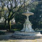 La fuente de marmol blanco ya tiene agua.