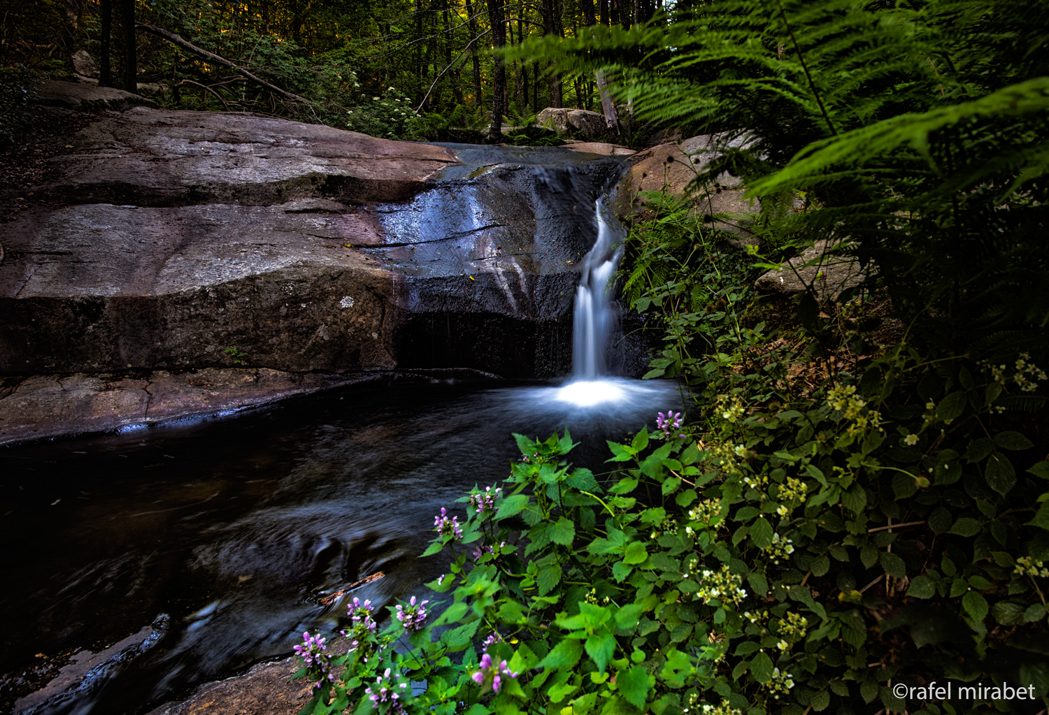 La fuente escondida (The hidden source)