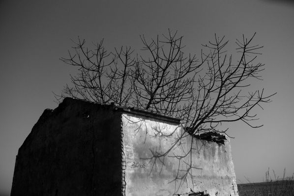 La Fuerza de la Naturaleza 3