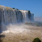 La fuerza de la naturaleza