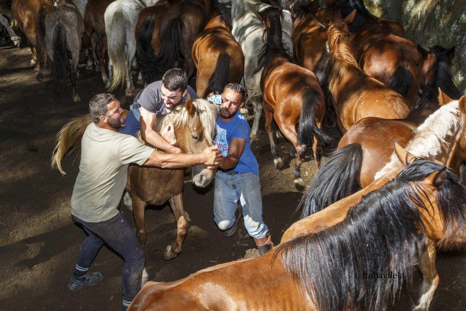 LA FUERZA DE UN CABALLO