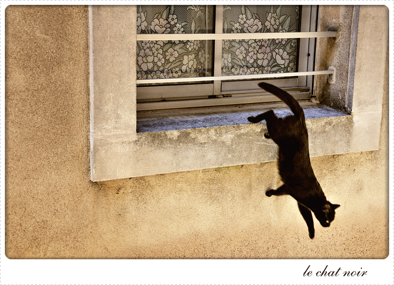 La fugue du chat noir de Verdun