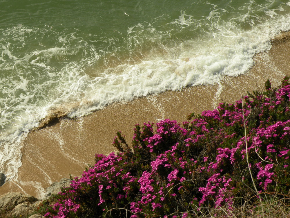 La fureza de la Naturaleza