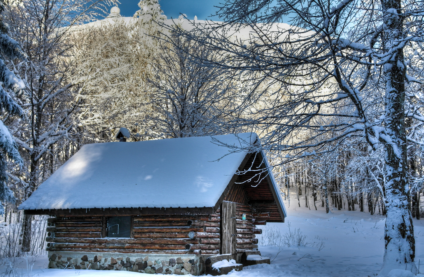 La fuste sous la neige