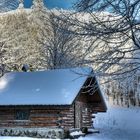 La fuste sous la neige