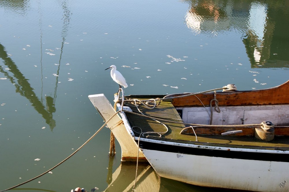 la gardienne du bateau