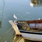 la gardienne du bateau