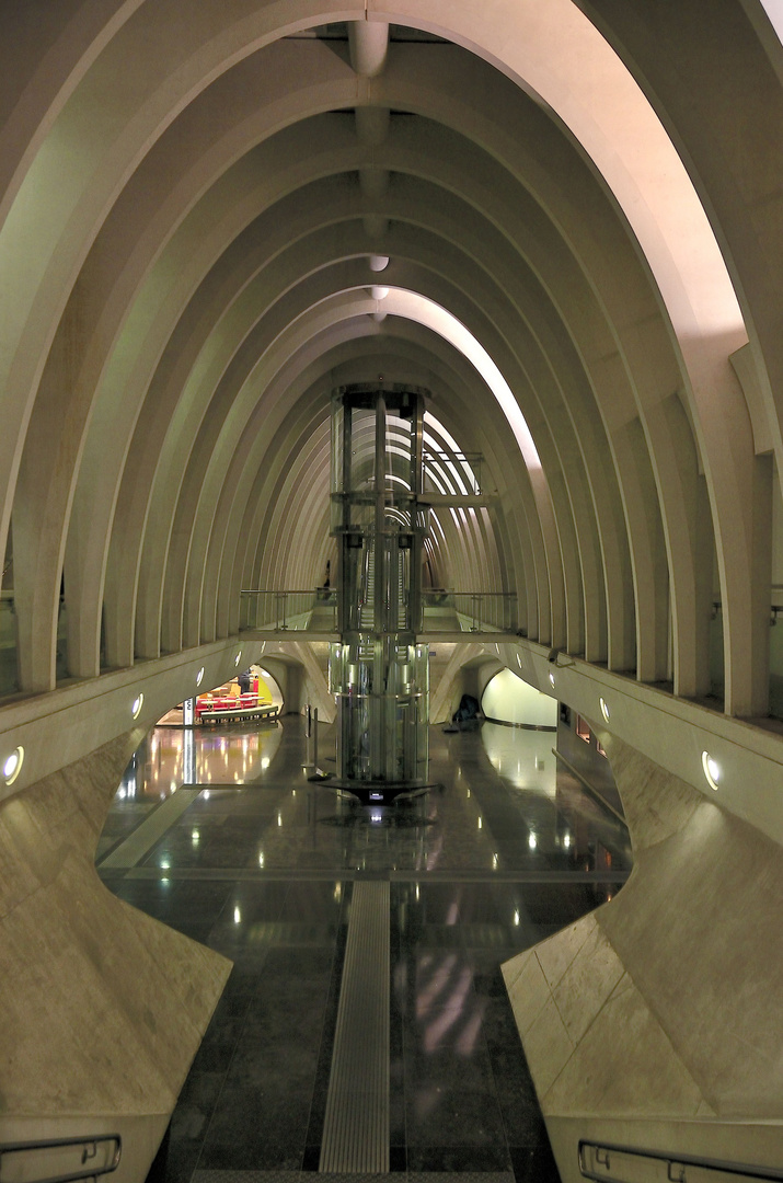 La Gare de Liège / Lüttich Hauptbahnhof