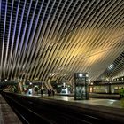 La Gare de Liège / Lüttich Hauptbahnhof