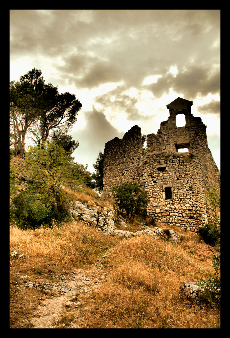 La garrigue d'Eygalières