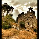 La garrigue d'Eygalières