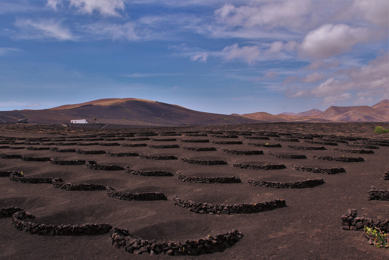 La Geria Foto & Bild europe, canary islands die kanaren, spain Bilder