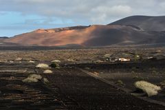 *La Geria & Feuerberge*