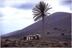 La Geria - Lanzarote