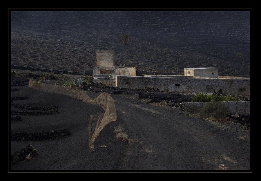 La Geria / Lanzarote