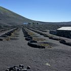 La Geria, Lanzarote