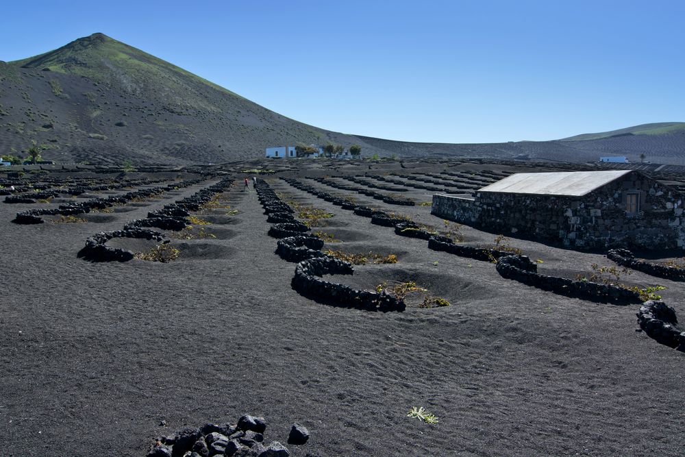 La Geria, Lanzarote