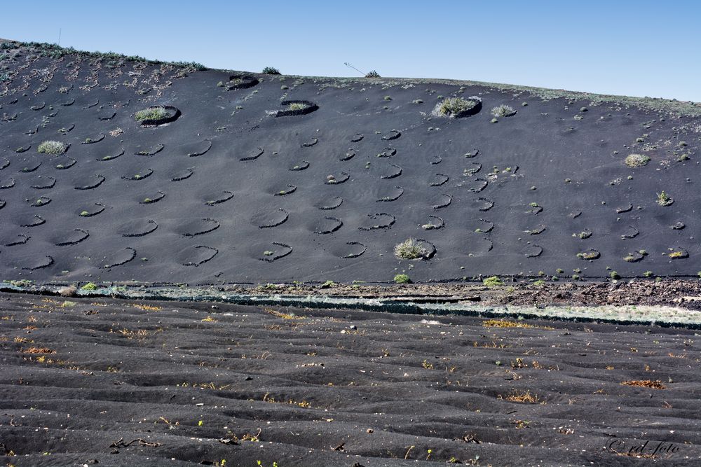 La Geria, Lanzarote