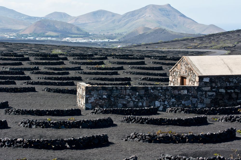 La Geria, Lanzarote / Startseite Spanien