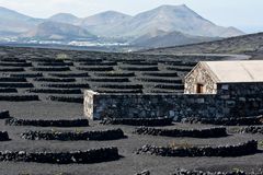 La Geria, Lanzarote / Startseite Spanien