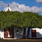 La Geria/Lanzarote