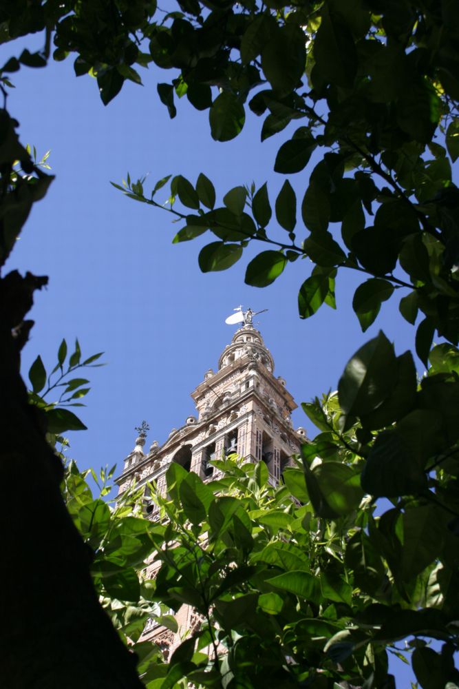 La Giralda