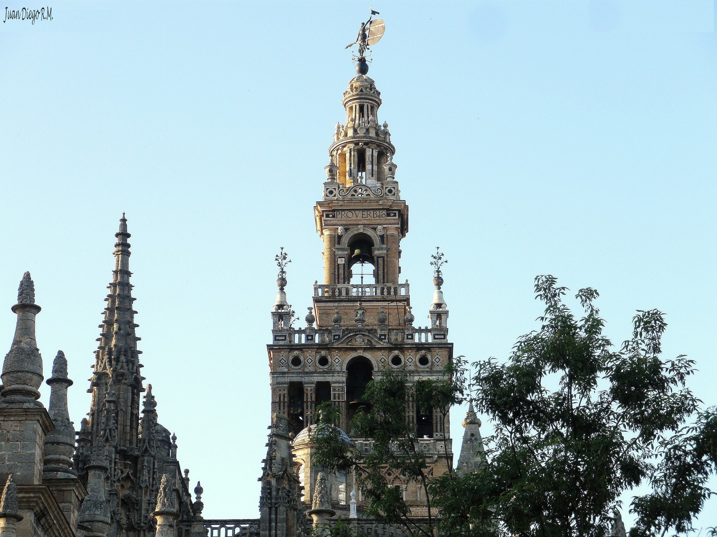 * * * LA GIRALDA * * * Campanario de la Catedral de Santa María.