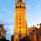 La Giralda de noche