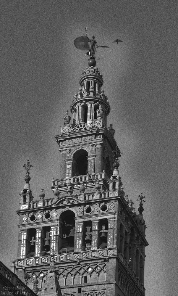 la giralda de sevilla