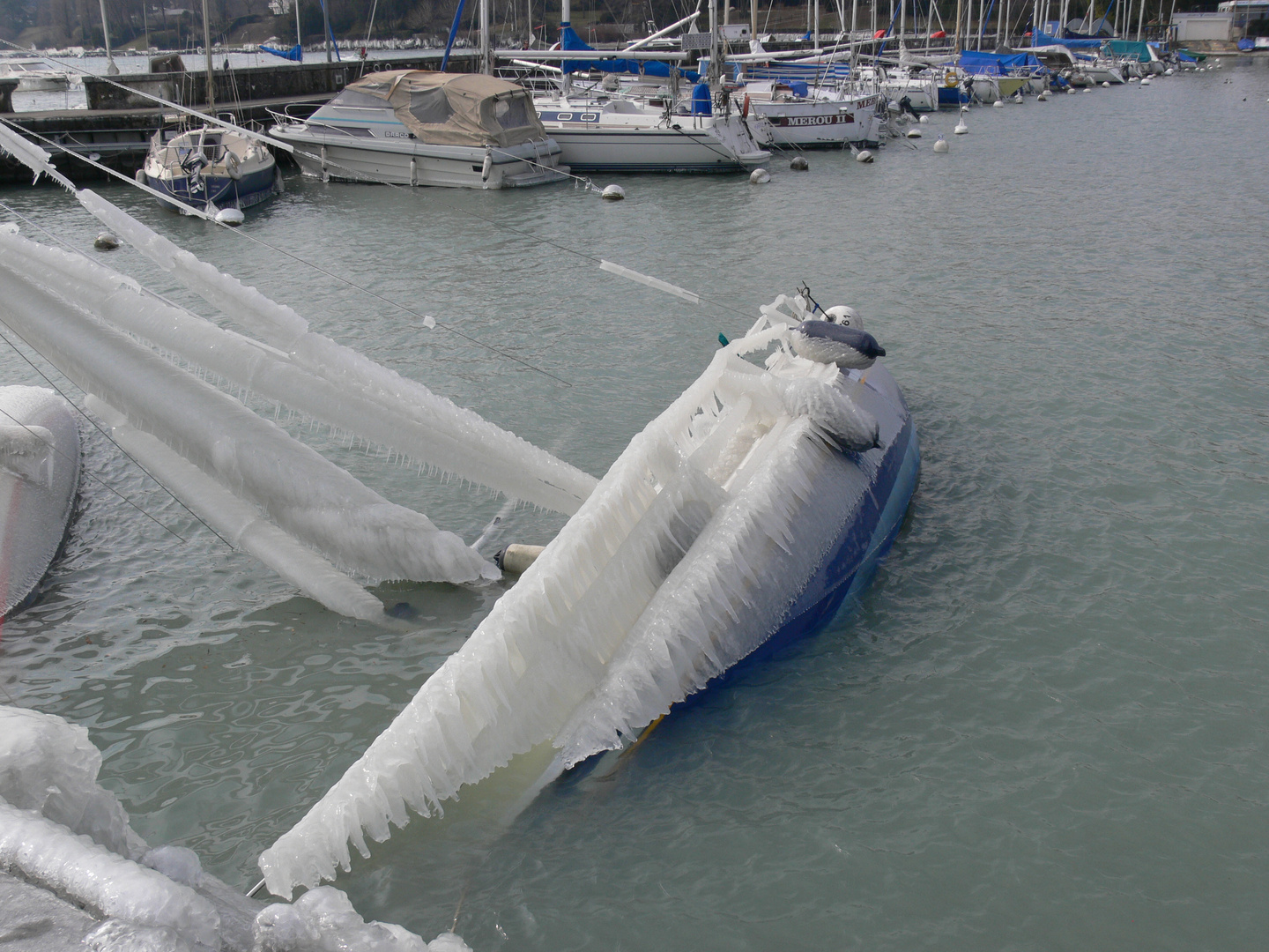 La glace ne m`a pas épargnée......je coule !!!!!