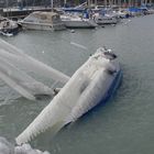 La glace ne m`a pas épargnée......je coule !!!!!