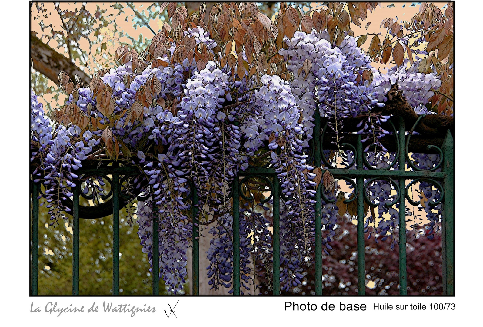 LA GLYCINE DE WATTIGNIES N°3 PHOTO DE BASE IMPRIMABLE