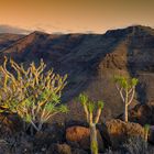 La Gomera