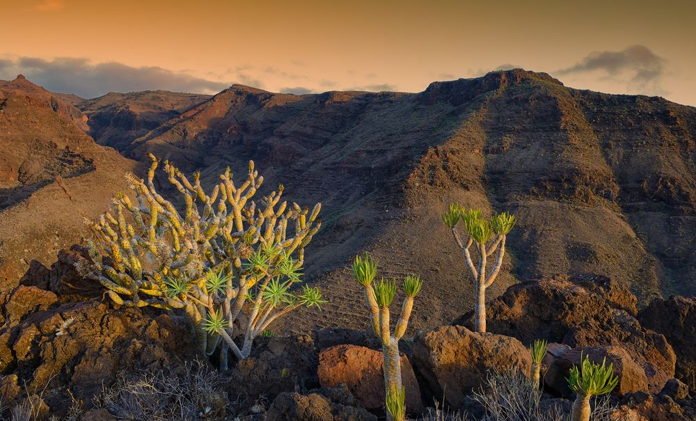 La Gomera