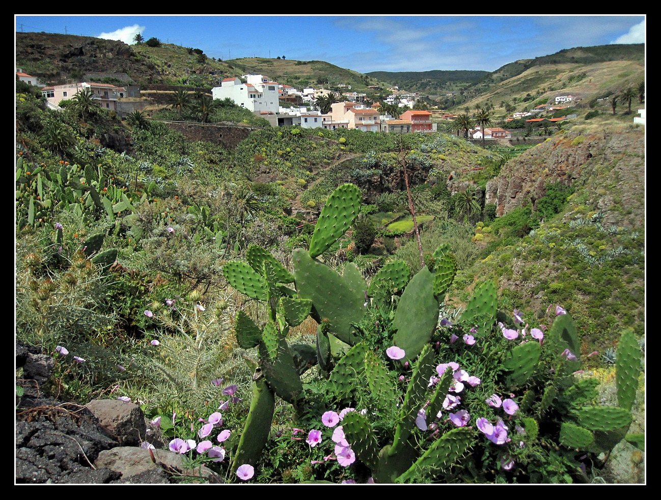 La Gomera 2010 - Valle Gran Rey - 10