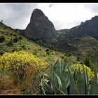 La Gomera 2010 - Valle Gran Rey - 13