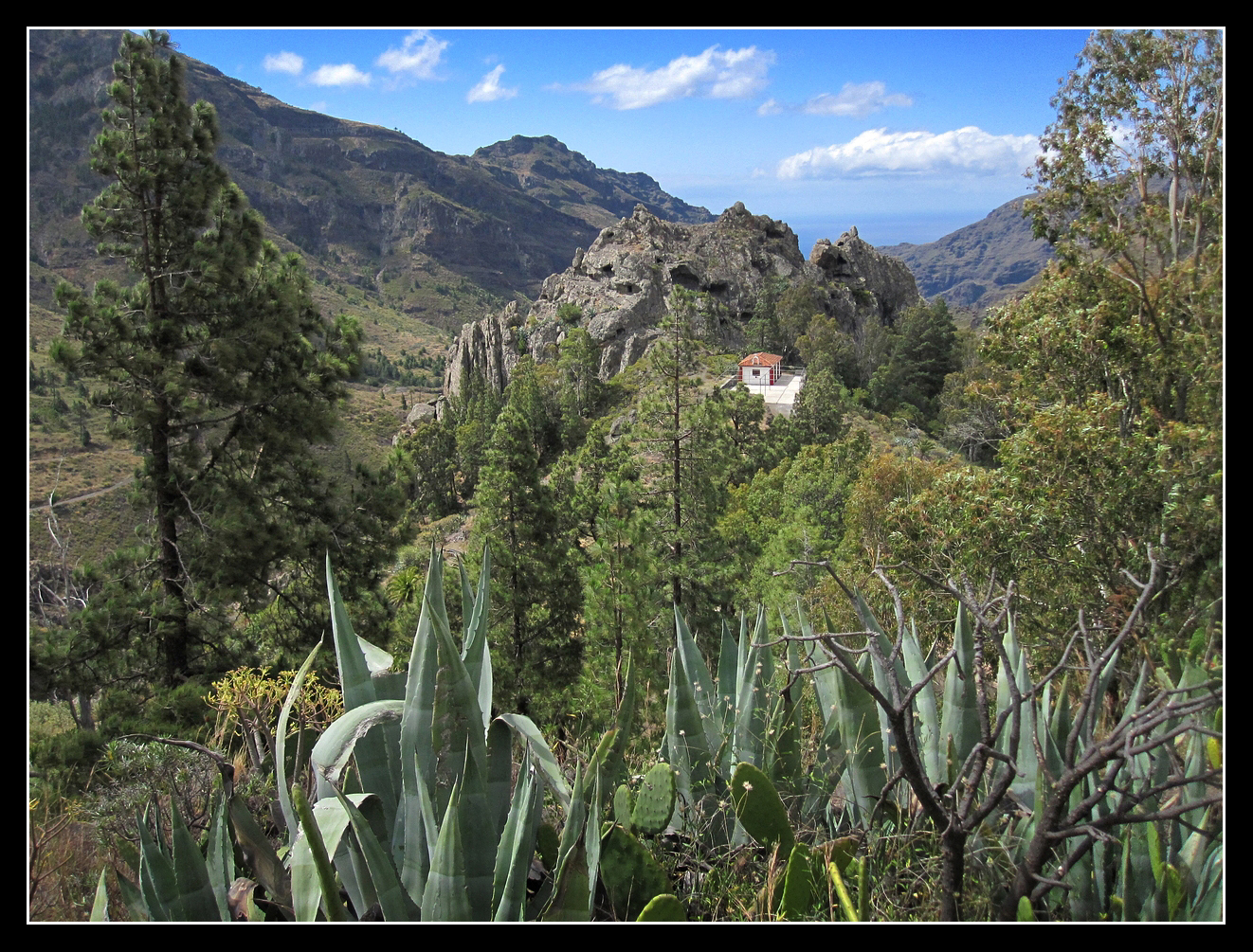 La Gomera 2010 - Valle Gran Rey - 14