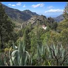 La Gomera 2010 - Valle Gran Rey - 14