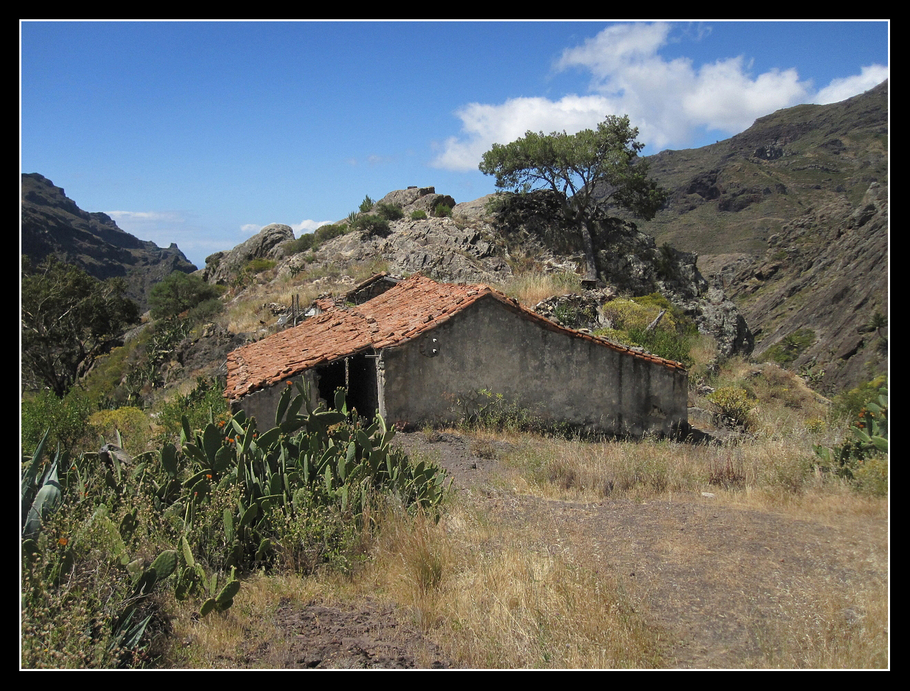 La Gomera 2010 - Valle Gran Rey - 19