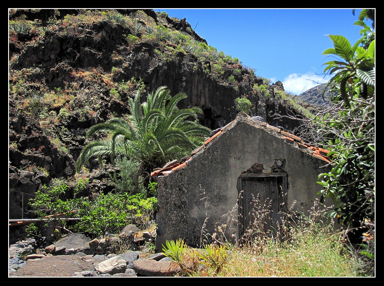 La Gomera 2010 - Valle Gran Rey - 20