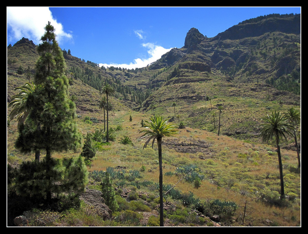 La Gomera 2010 - Valle Gran Rey - 22