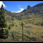 La Gomera 2010 - Valle Gran Rey - 22