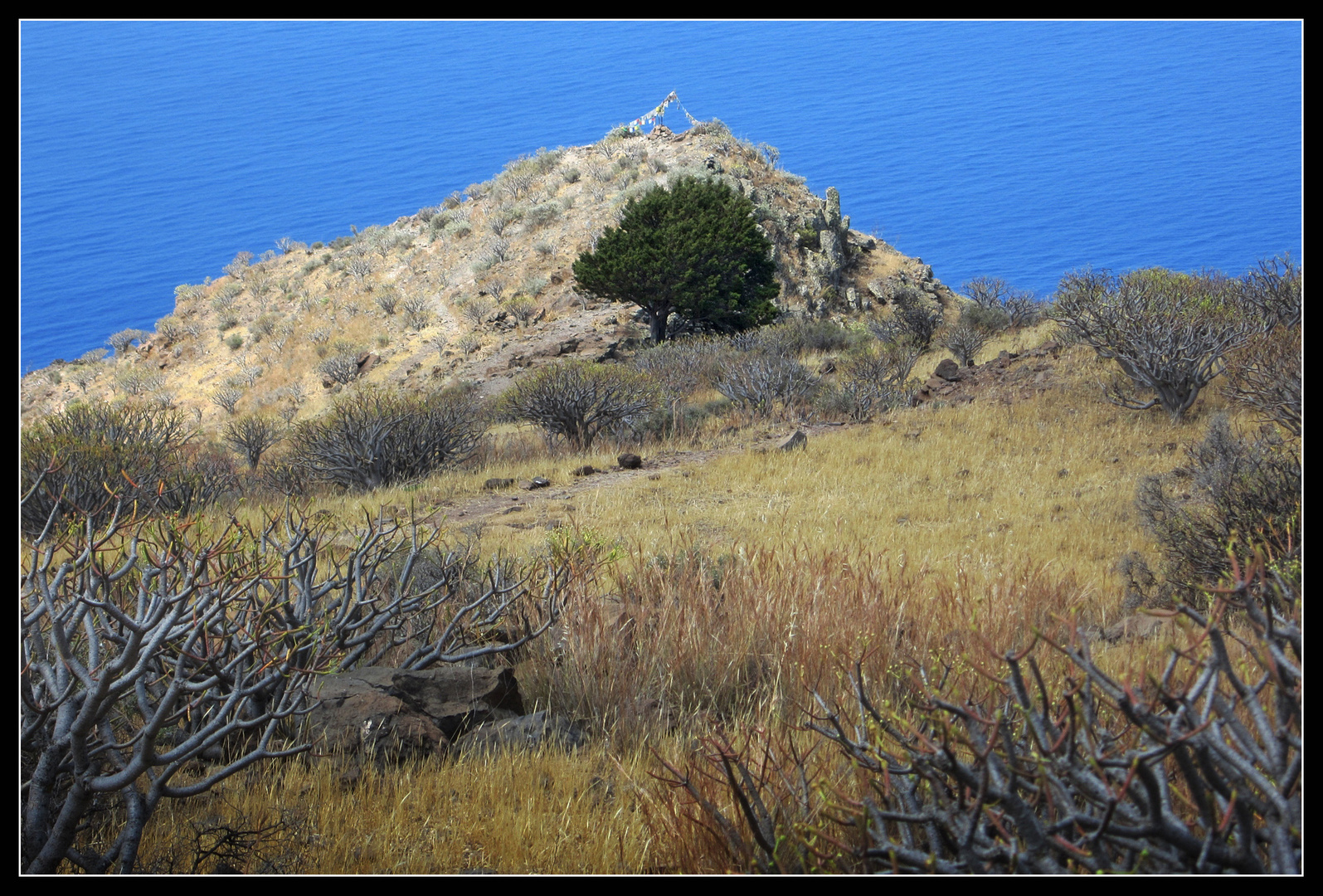 La Gomera 2014 - 10