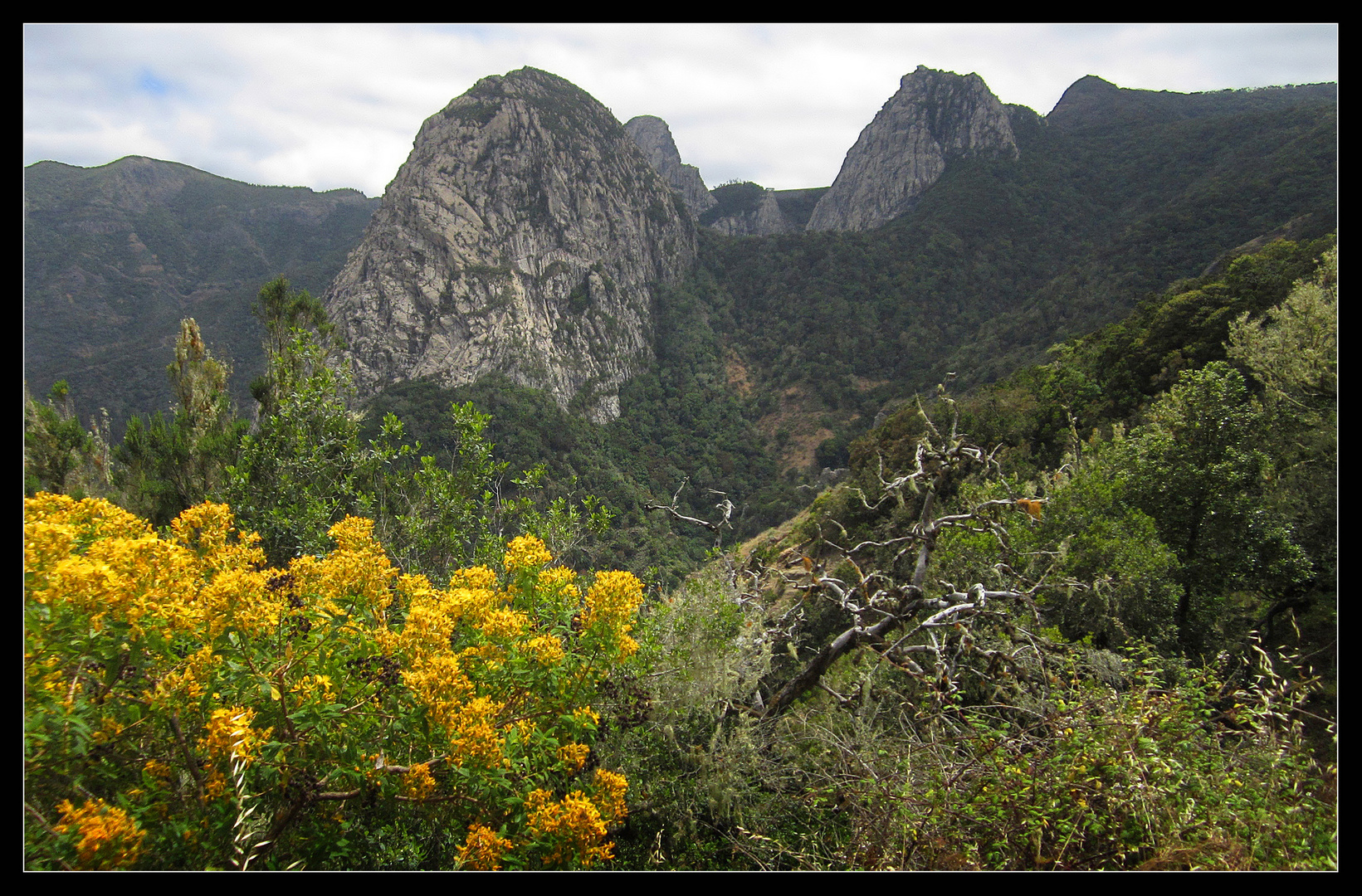 La Gomera - 2014 - 6