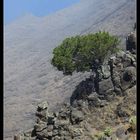 La Gomera 2014 - 8